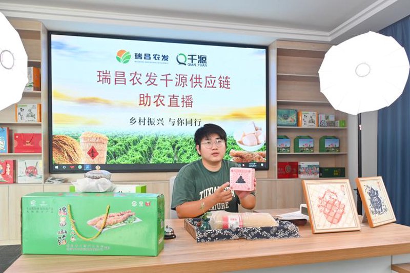 把握市场脉搏：稻田里的新商机