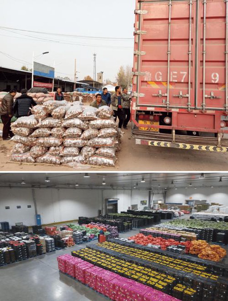 南京农产品市场动态:绿色食品的批发盛宴